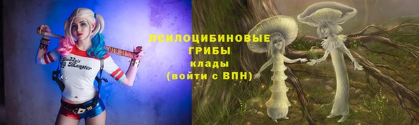 apvp Михайлов