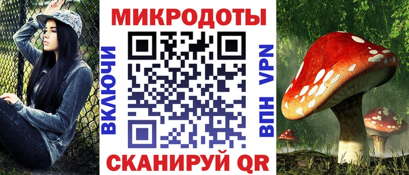 кракен зеркало  Щучье  Псилоцибиновые грибы Psilocybine cubensis 